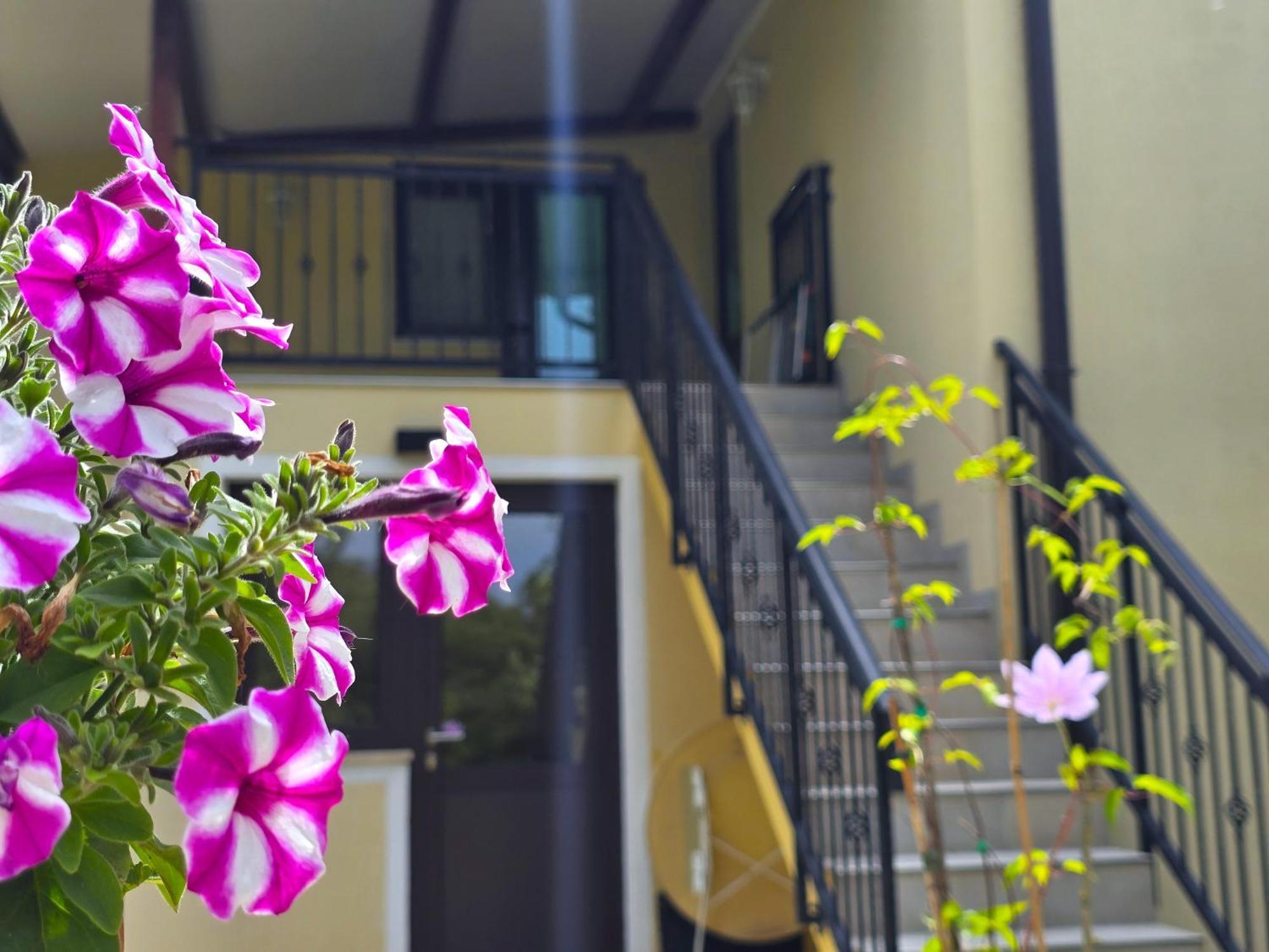 Keser Apartments Rovinj Eksteriør billede