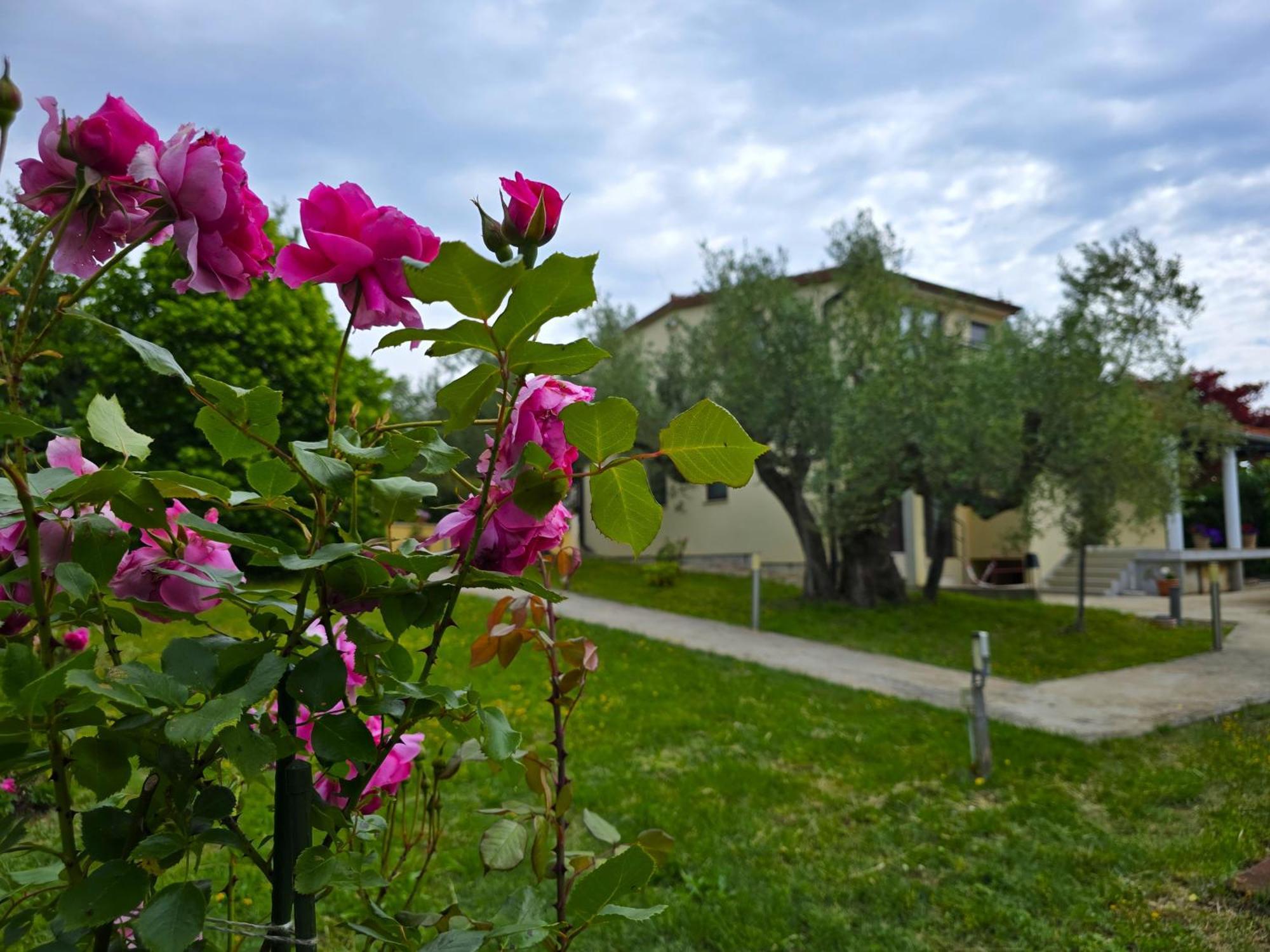 Keser Apartments Rovinj Eksteriør billede