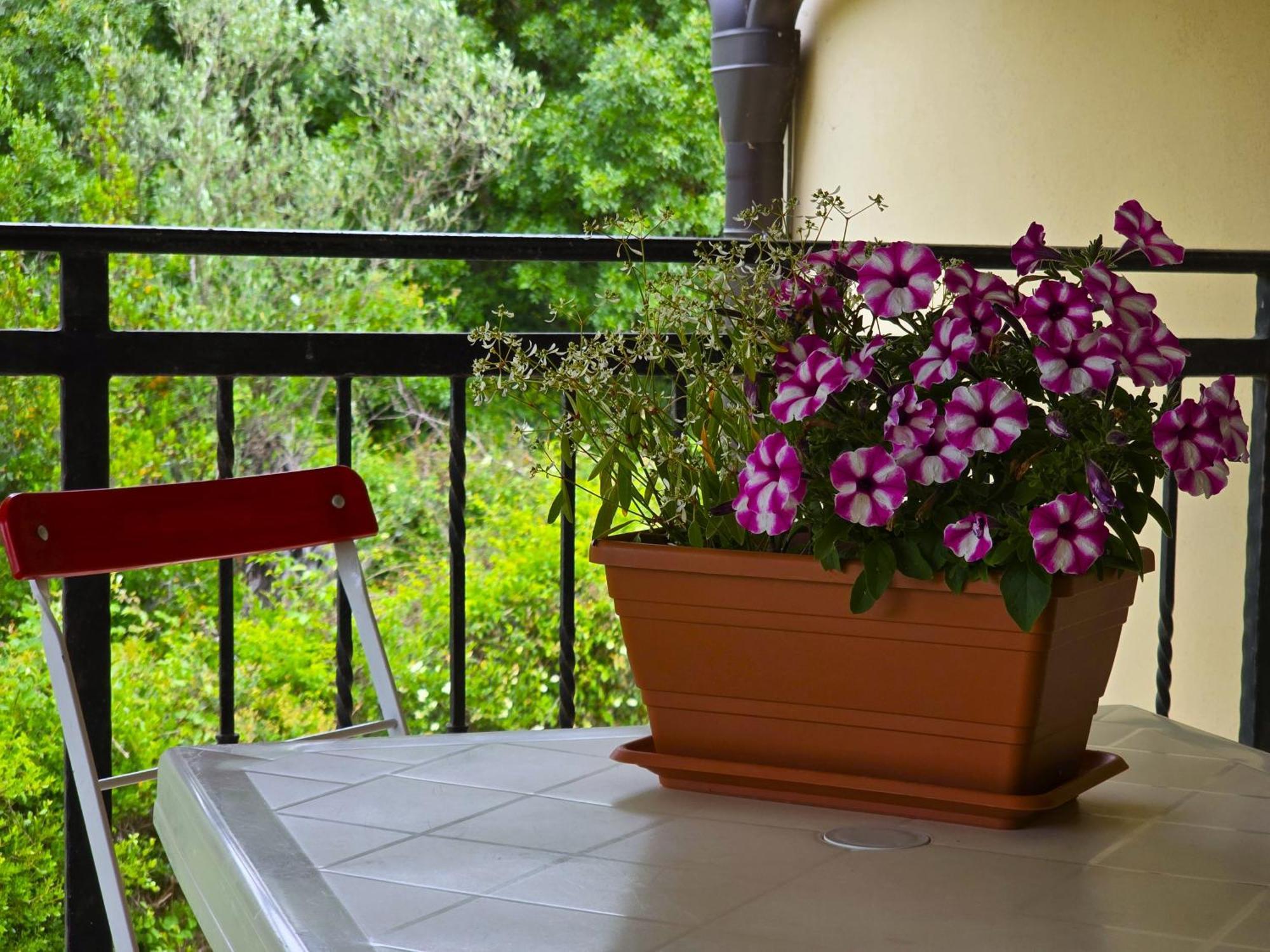 Keser Apartments Rovinj Eksteriør billede